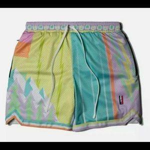Trillest WHAT THE PASTEL?! Swingman Shorts